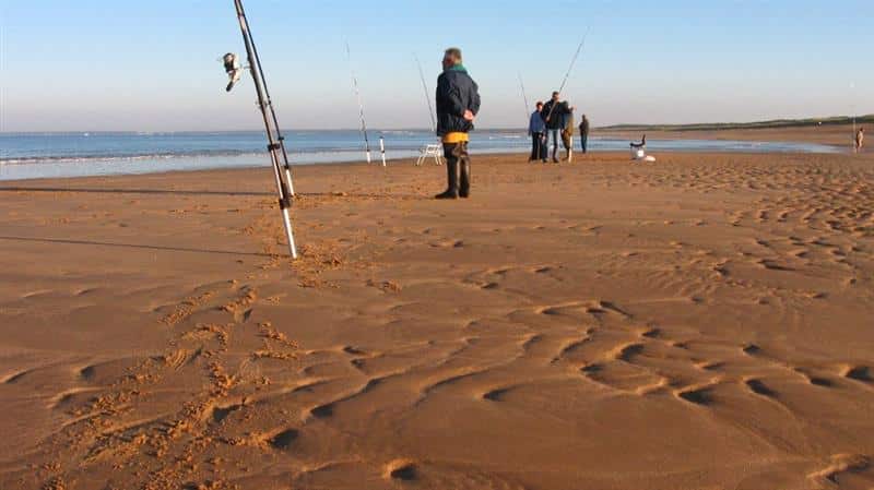 activités nautiques faute sur mer en vendée