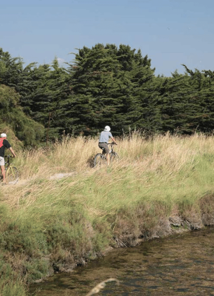 balades à vélo en vendée