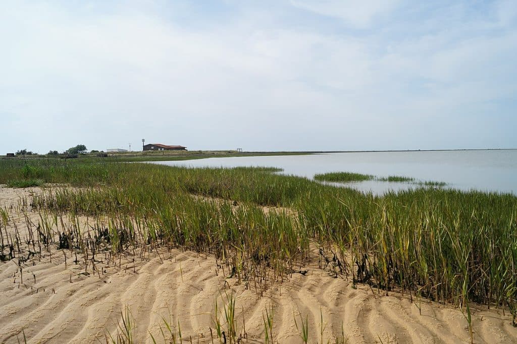 camping l aiguillon sur mer vendée