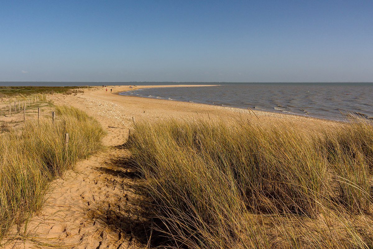 plage de sable fin faute sur mer