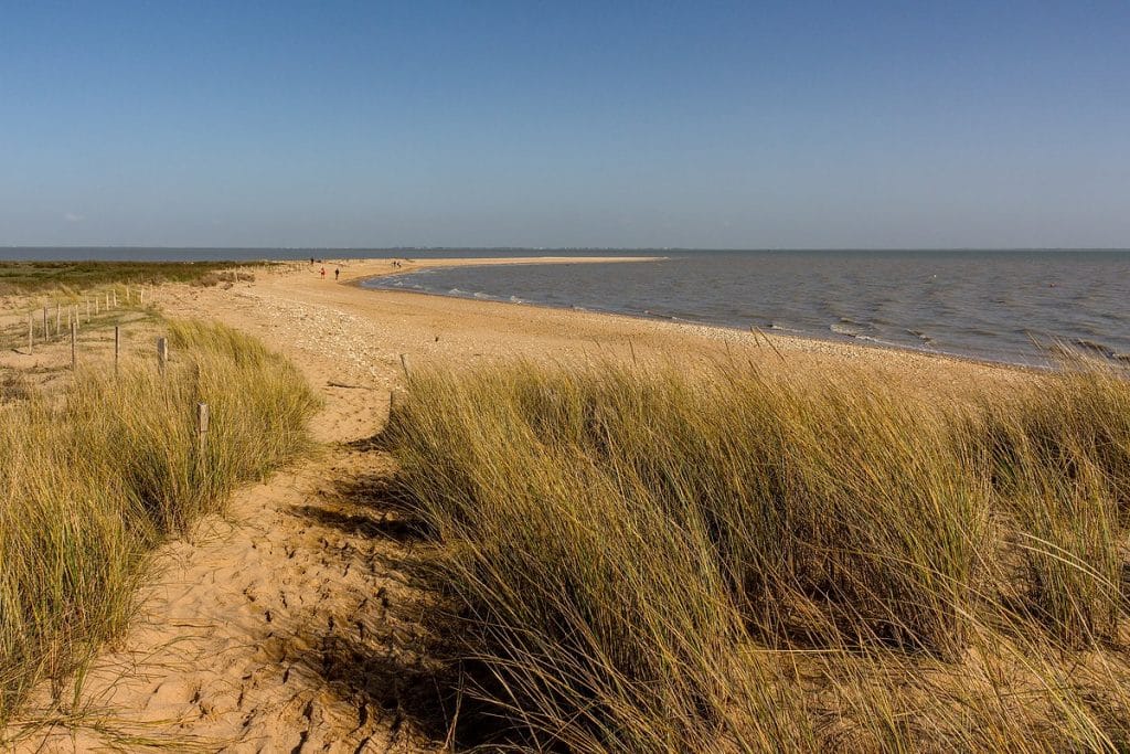 reserve naturelle baie de l'aiguillon, vendee