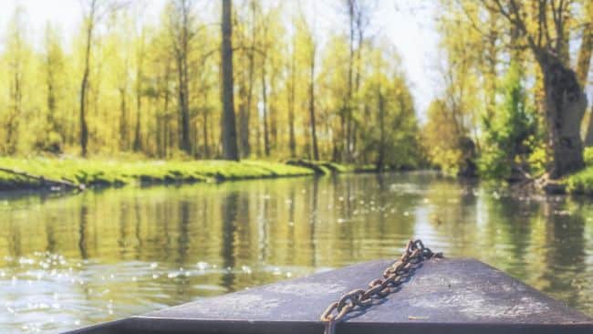 balade en barque dans le marais poitevin