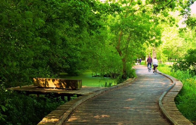 le marais poitevin à vélo