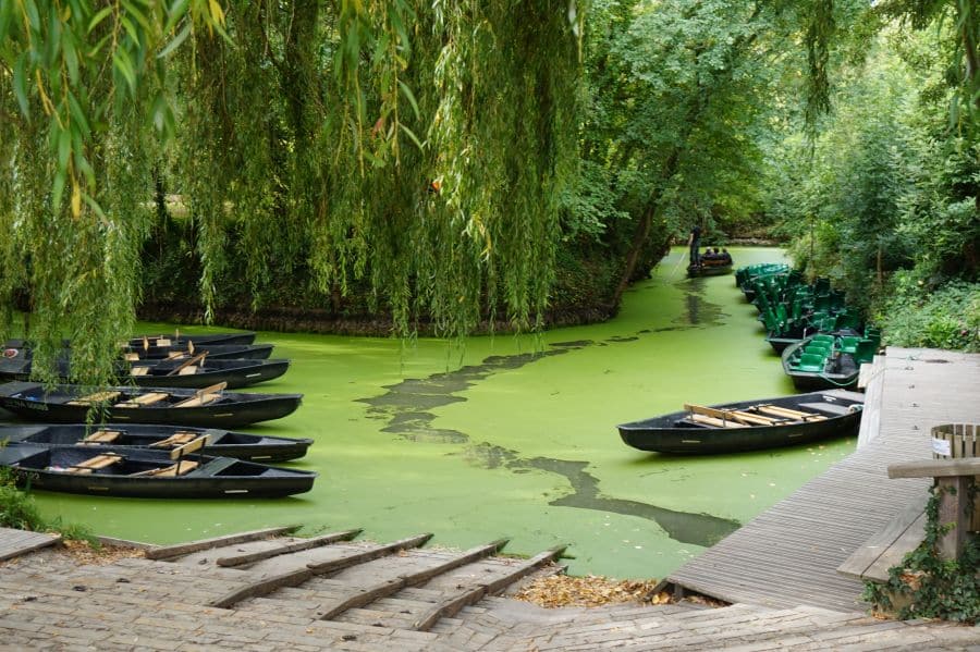 balade barque marais poitevin