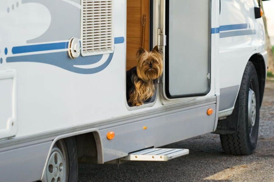 visite du marais poitevin en camping-car