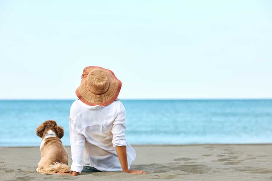 plage la faute sur mer acceptant les chiens