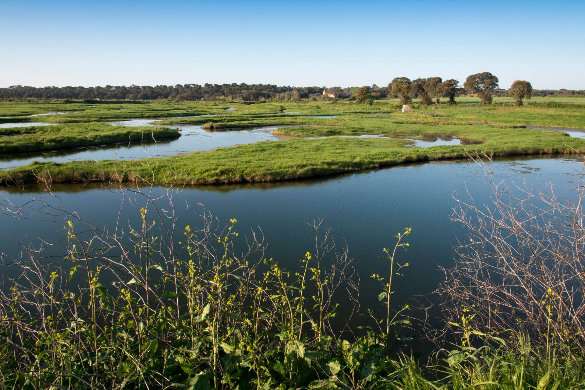 plus beaux endroits du marais poitevin